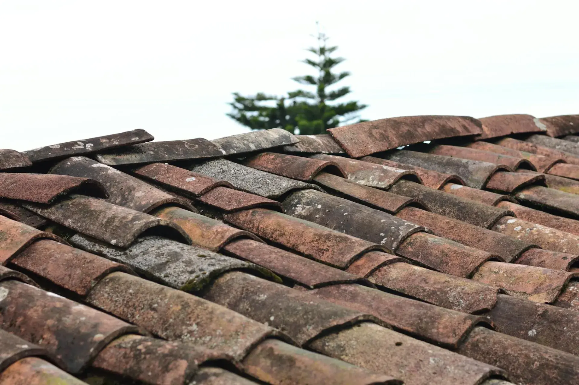 Isolation des combles — Welty Couvreur 25